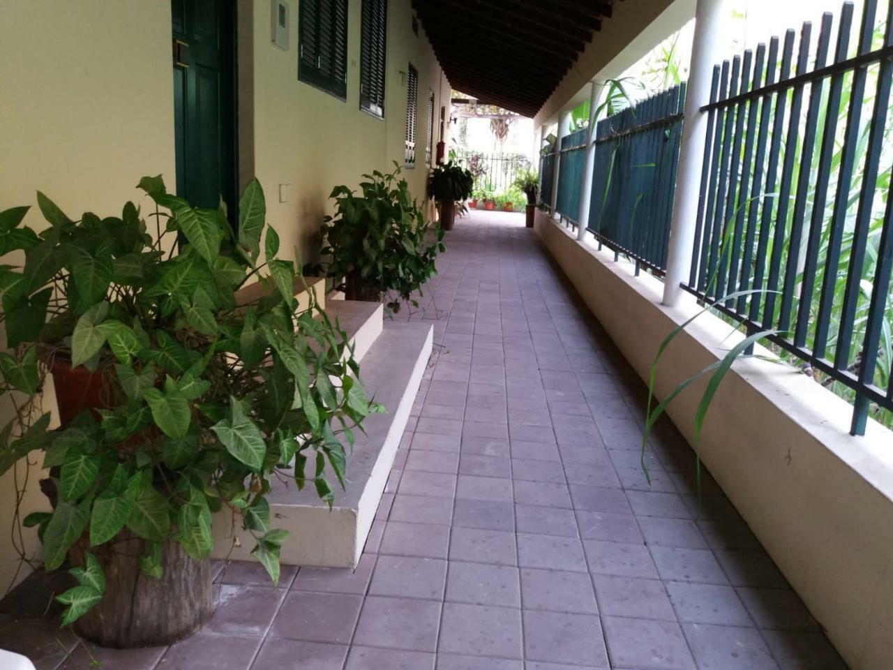 Ribeira Grande Country House Cha de Arroz Exterior photo