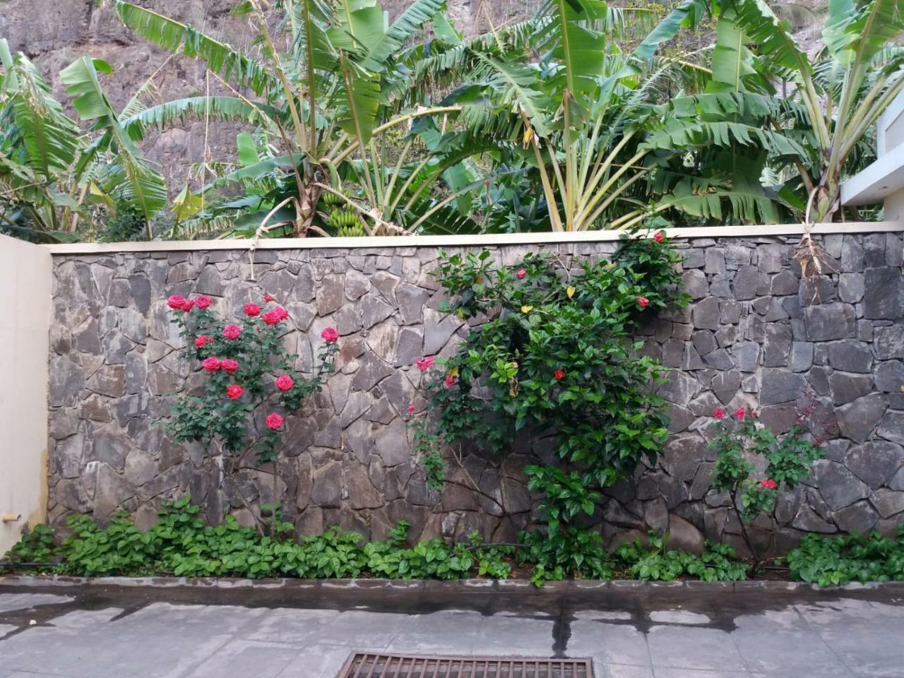Ribeira Grande Country House Cha de Arroz Exterior photo