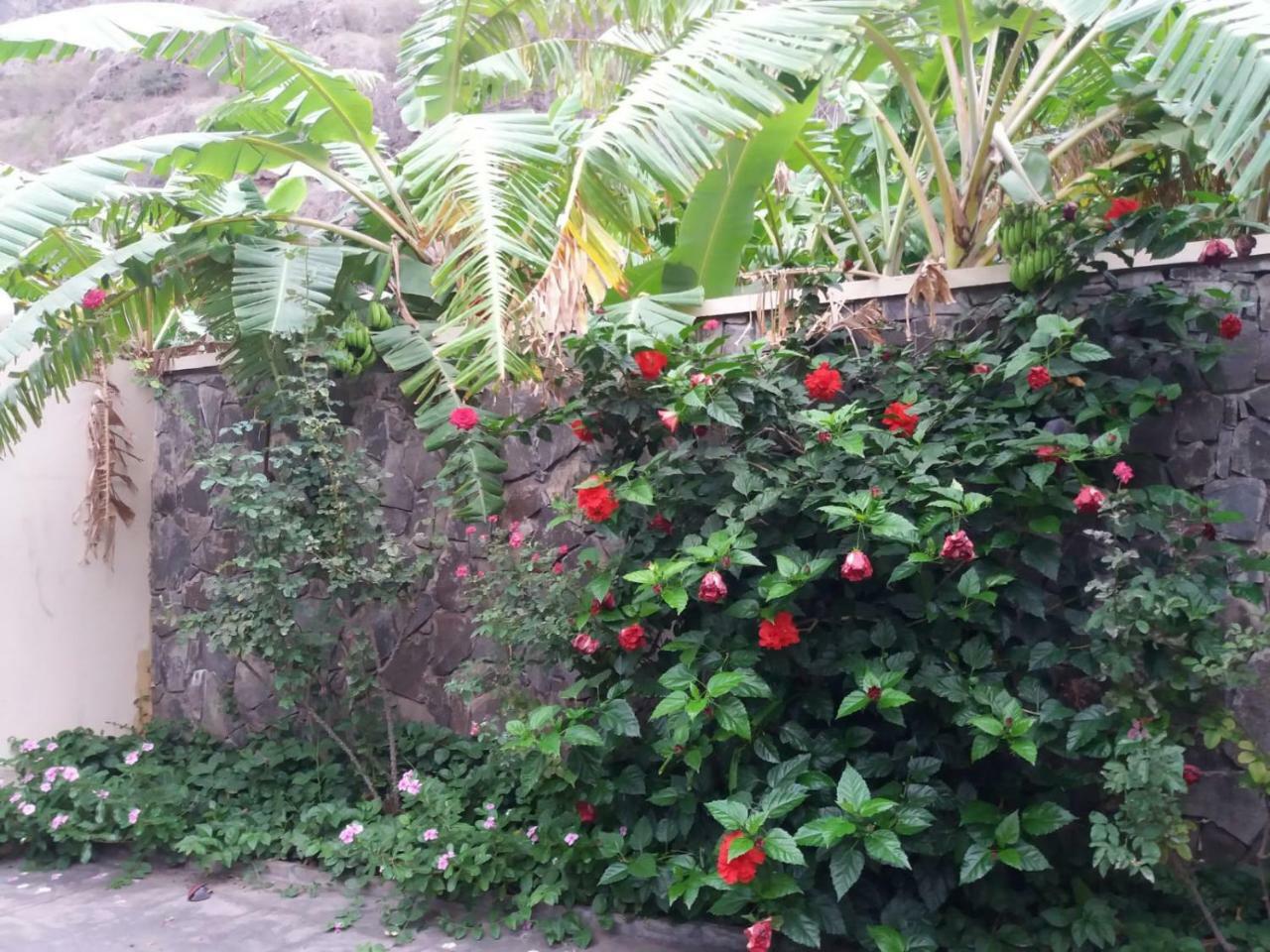 Ribeira Grande Country House Cha de Arroz Exterior photo