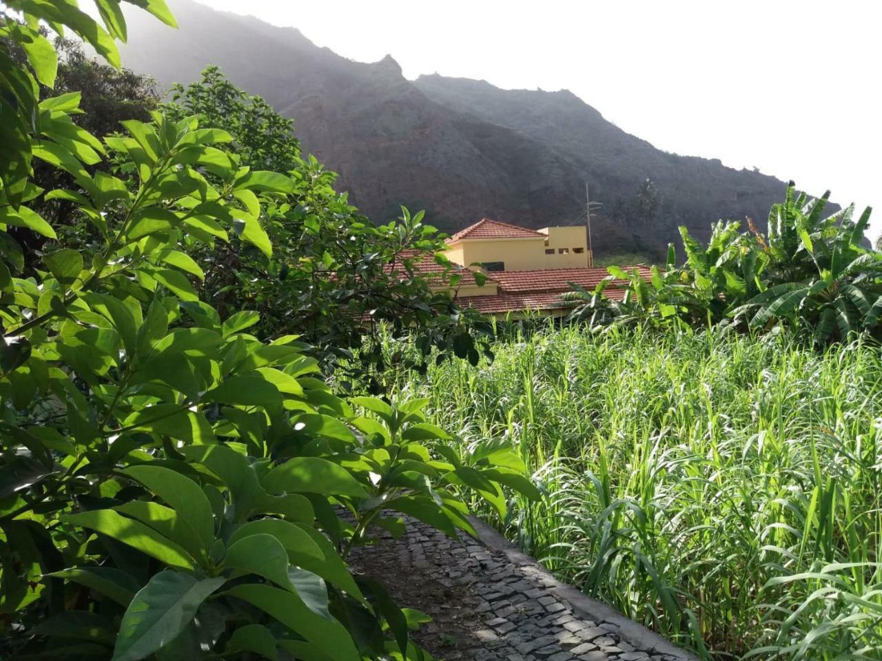 Ribeira Grande Country House Cha de Arroz Exterior photo